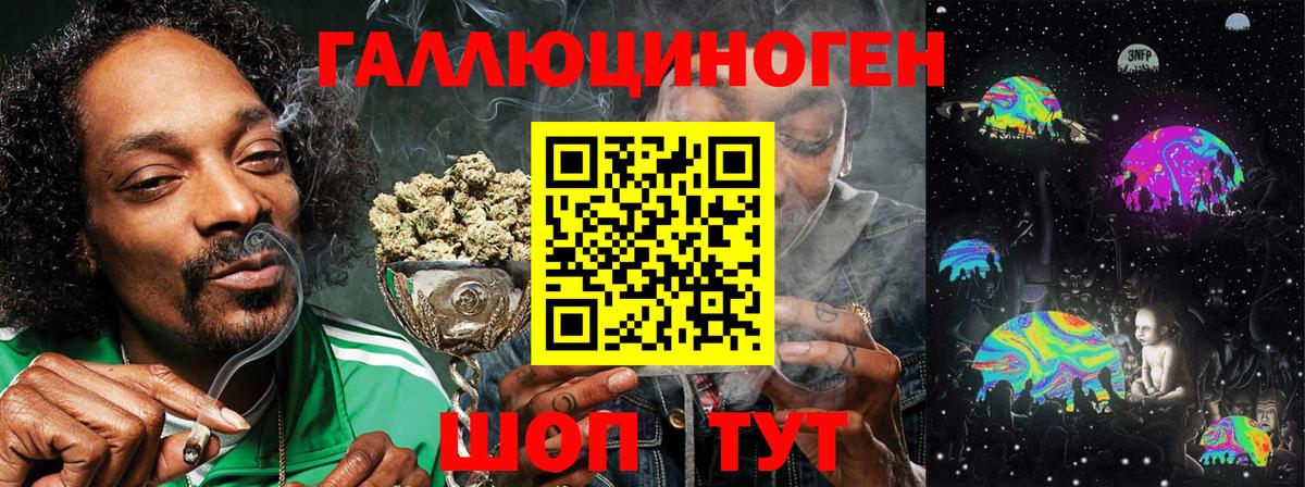 Псилоцибиновые грибы Psilocybe Смоленск